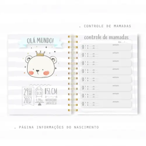 Caderneta de Vacinação - Urso Príncipe