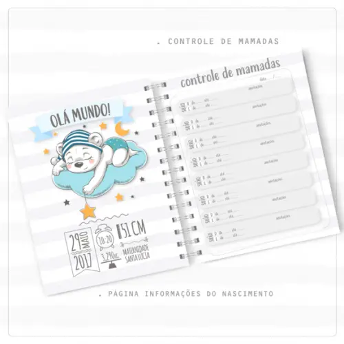Caderneta De Vacinação -ursinho 01