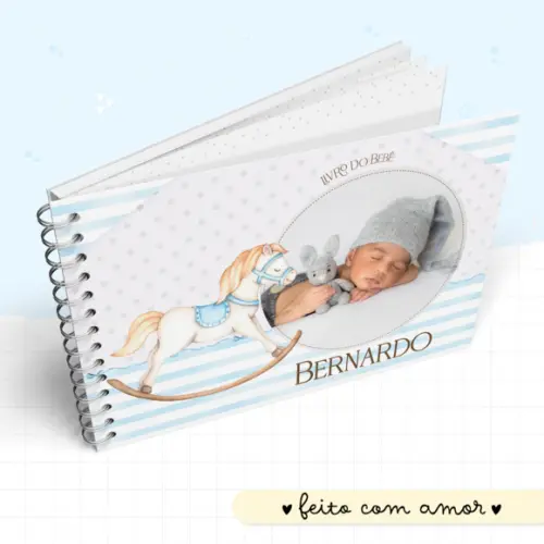 Livro do Bebe - Cavalinho Menino 2.0