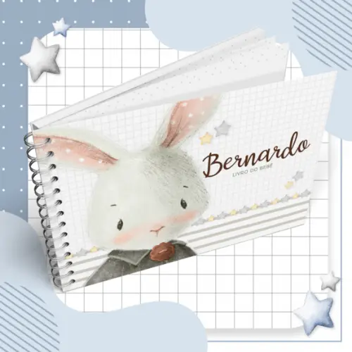 Livro do Bebê - Coelhinho 03