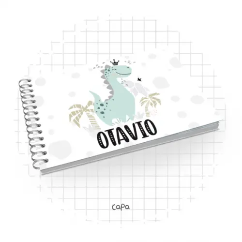 Livro do Bebê - Dino Menino