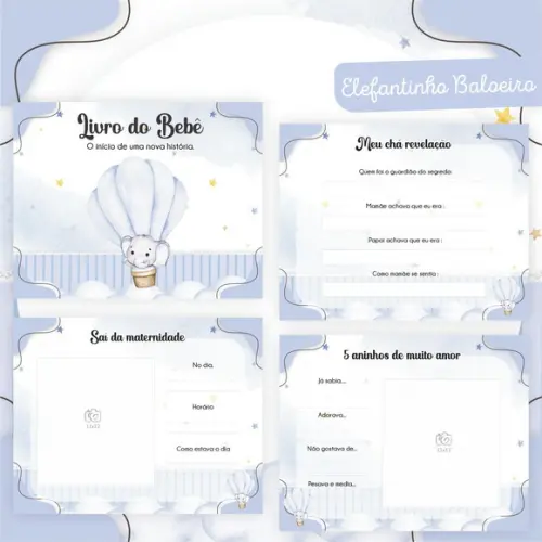 Livro do Bebê (19 x 24) - Elefantinho Baloeiro