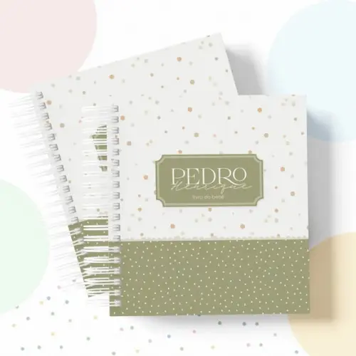 Livro do Bebe (20x22) - Neutro Menino