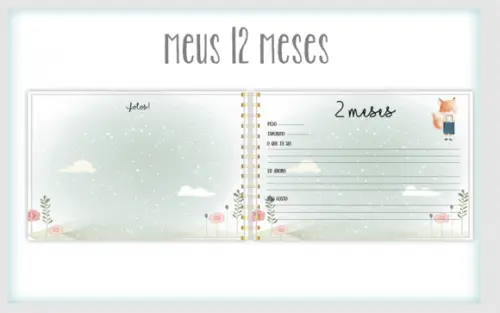 Meus 12 Meses - Raposinha Menino