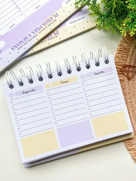 Mini Planner 2026 - Professora