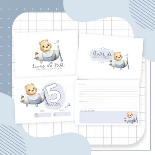 Livro do Bebe - Urso Aviador 03