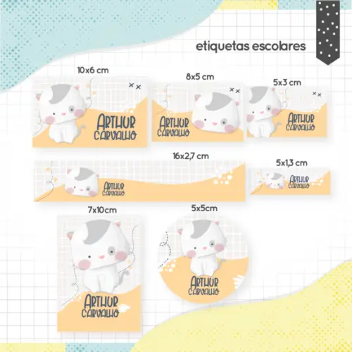 KIT Digital Volta as Aulas - Gatinho 02