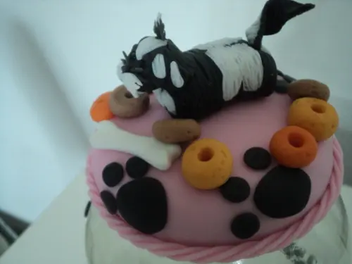 Pote para ração em biscuit