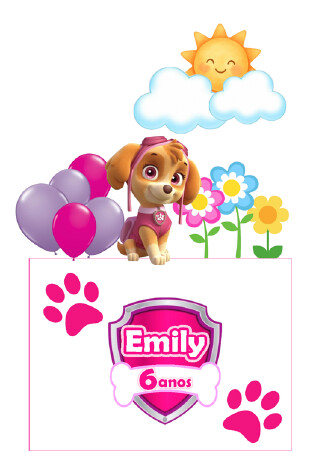 TOPO DE BOLO Sky Patrulha Canina  01