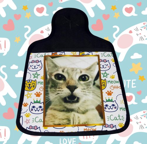 Lixeira Neoprene Carro Personalizado Gato, Gatinho Kitty
