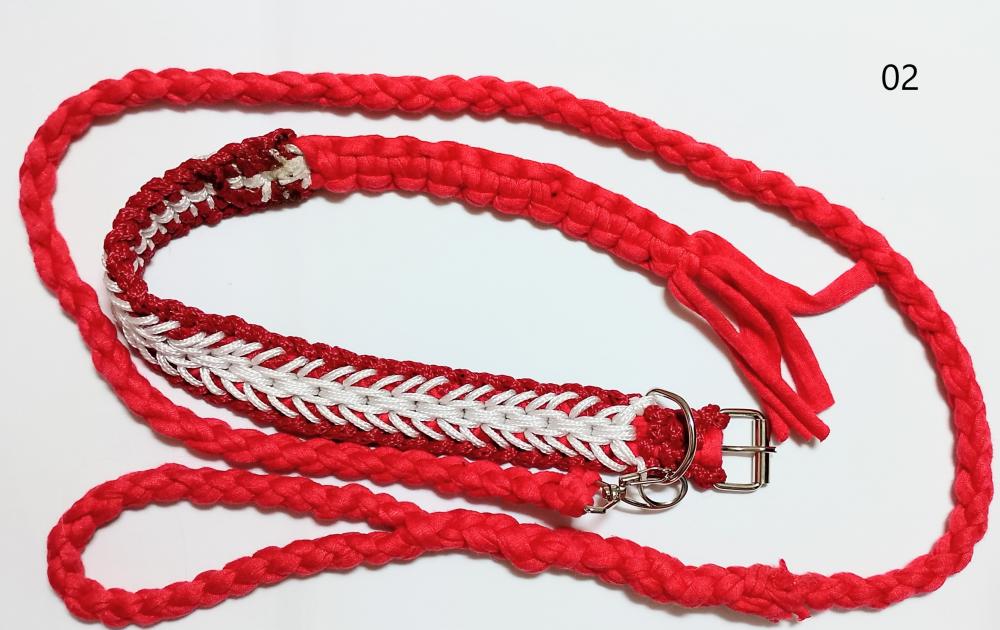 Conjunto coleira e guia tamanho M