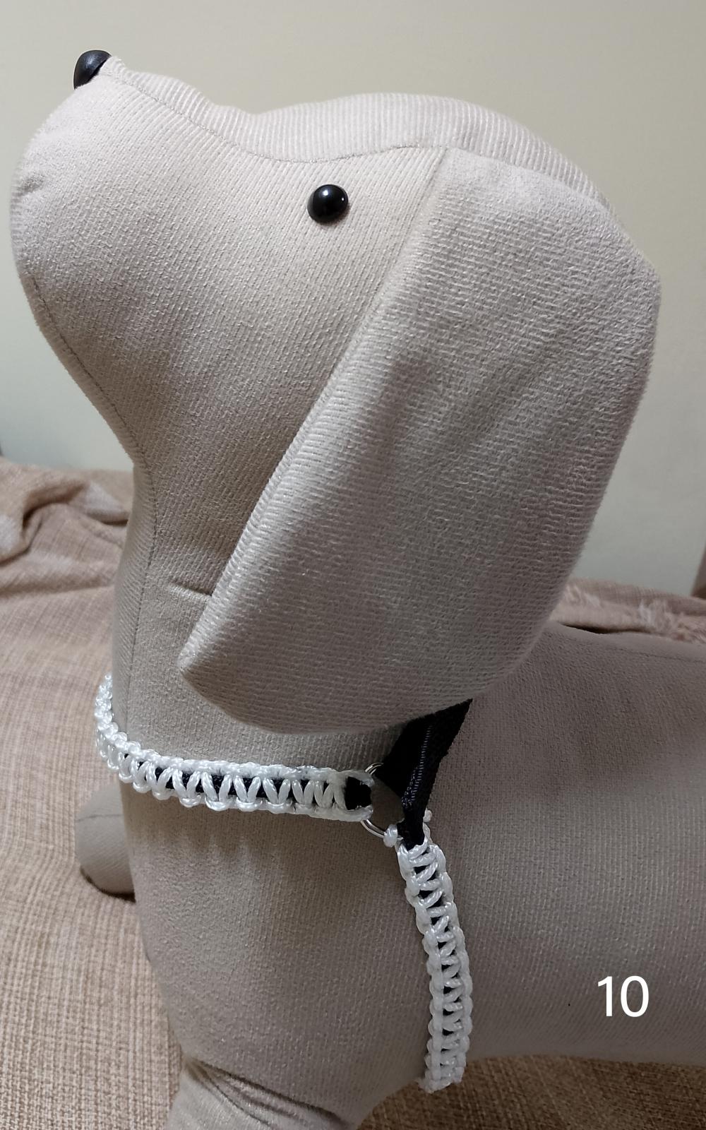 Conjunto coleira e guia tamanho P com peitoral