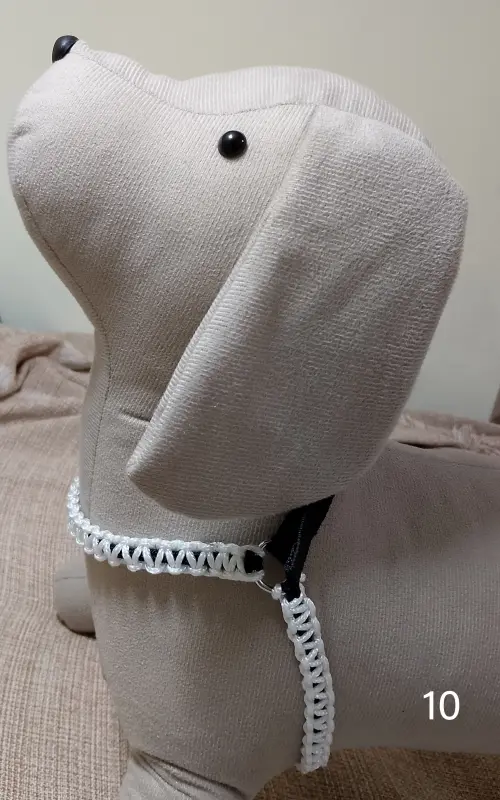 Conjunto coleira e guia tamanho P com peitoral
