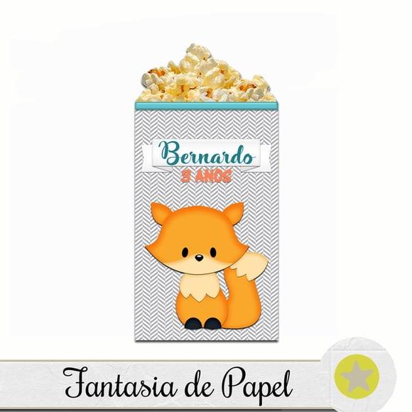 CAIXA PIPOCA/CACHEPÔ RAPOSA