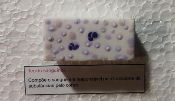 Tecido Peliterial em Biscuit