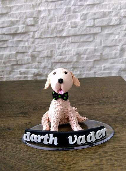 Topo Golden Retriever