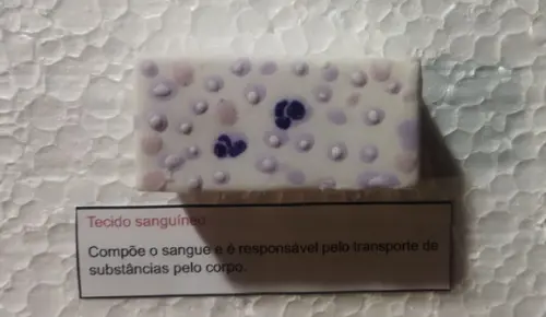 Tecido Peliterial em Biscuit