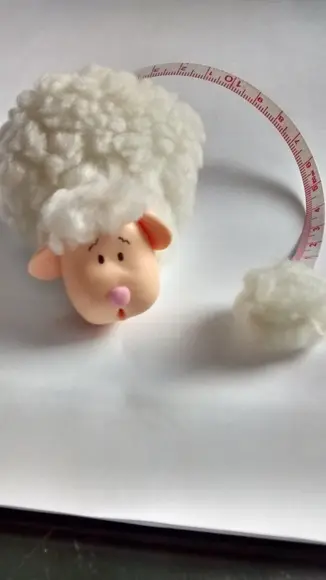 Ovelha fita metrica