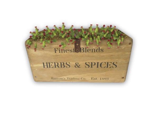 Caixa Rústica Madeira Estilo Antiga Herbs & Spices - 10% Off