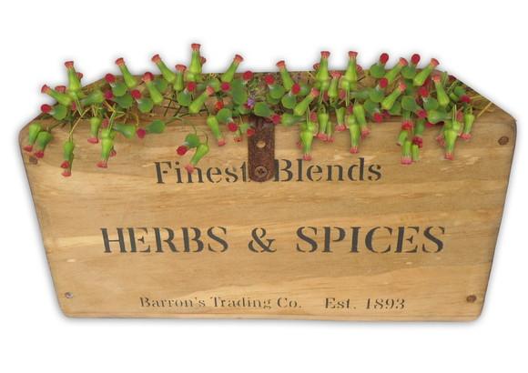 Caixa Rústica Madeira Estilo Antiga Herbs & Spices - 10% Off