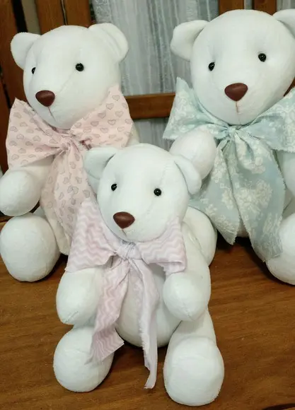 Familia Ursinho Toti