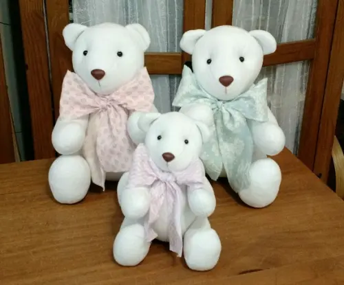 Familia Ursinho Toti