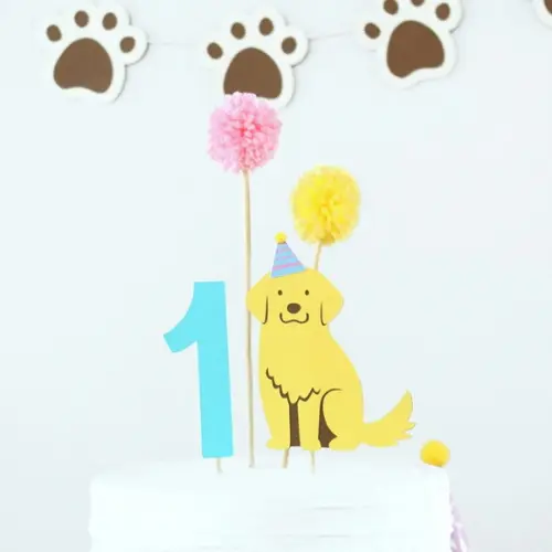 Topo Bolo Golden Retriever