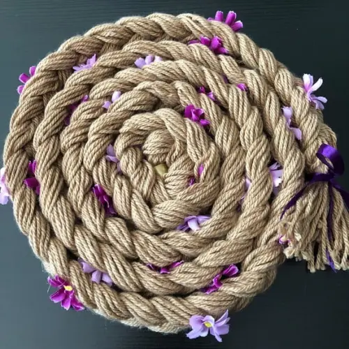 Trança da Rapunzel com 3 Metros