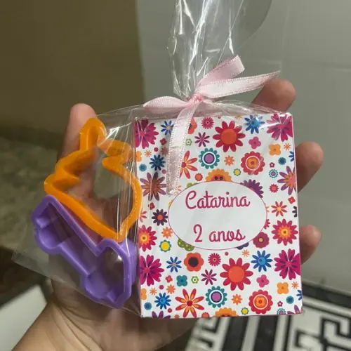 Kit Massinha, Lembrancinha Aniversário, Massinha E Cortador