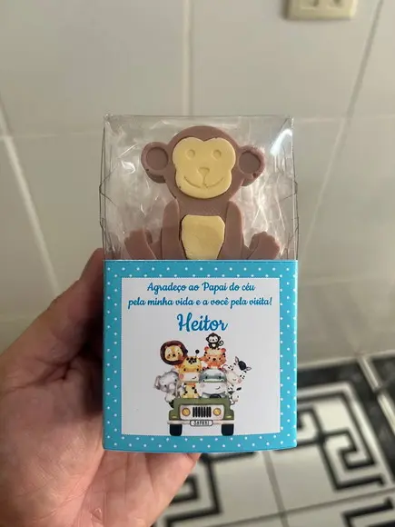 Caixinha com Sabonete Safari Leão Girafa Elefante