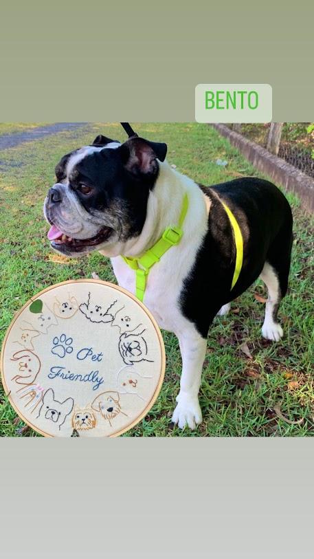Bordado em Bastidor - Familia e Pets - Pet Friendly
