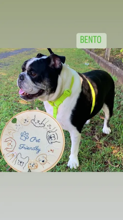 Bordado em Bastidor - Familia e Pets - Pet Friendly