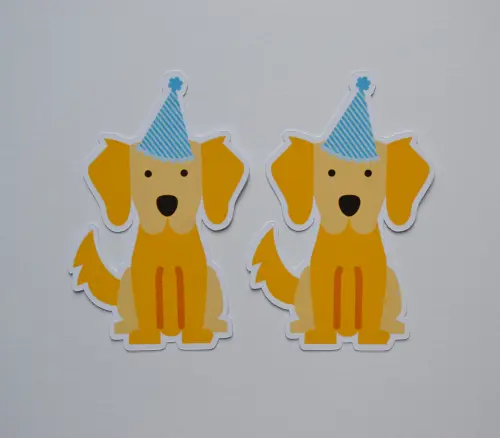 Tema Pet