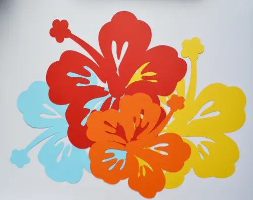 Hibiscos