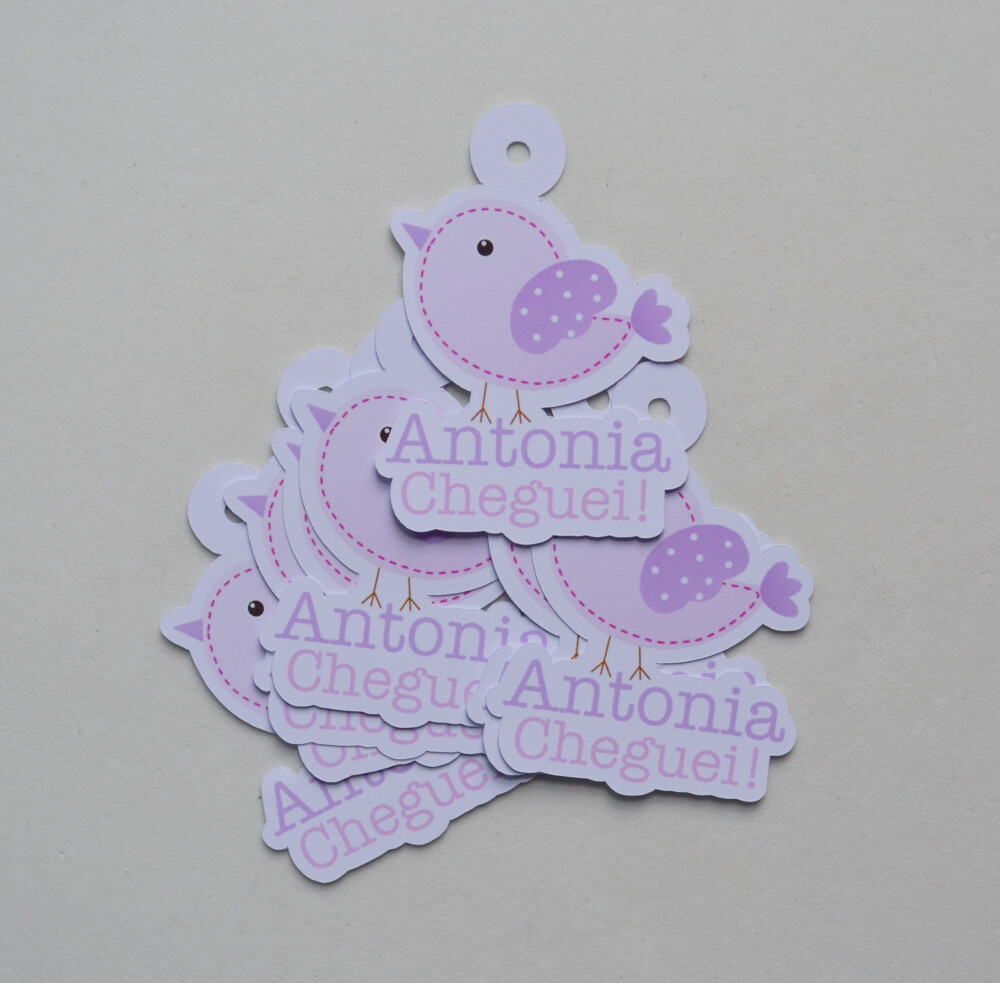 Tag Maternidade Personalizada para Lembrancinhas de Bebê