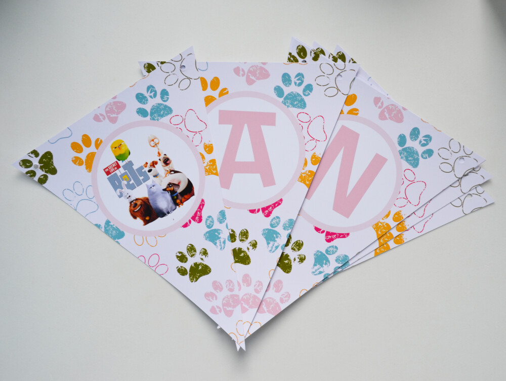 Bandeirolas Pets: A Vida Secreta dos Bichos Personalizadas