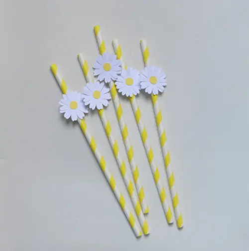 Canudos de Papel c/ Margaridas