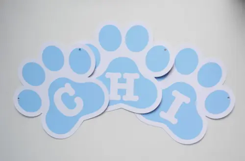 Bandeirolas Pet - Patinhas