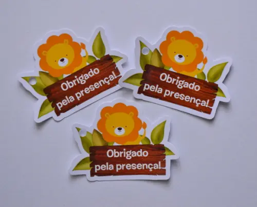 Tag Leãozinho