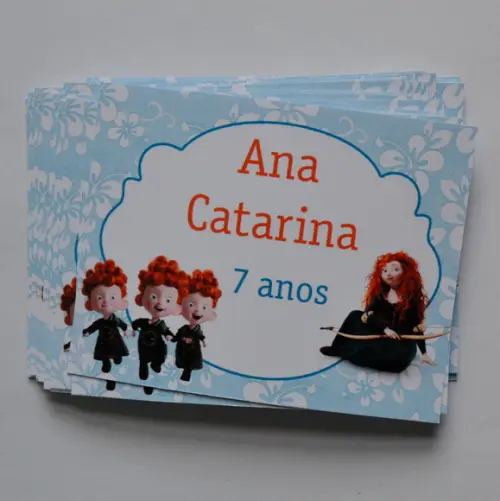 Adesivo Sacolinha Merida