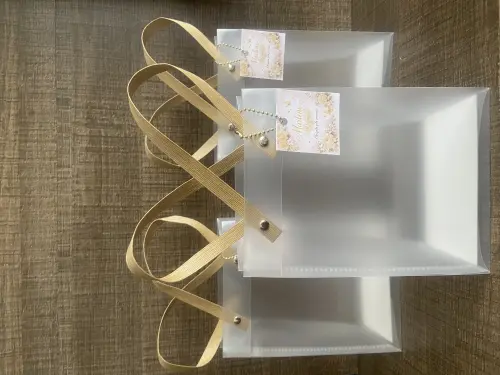Sacola de Plástico Fosco Personalizada