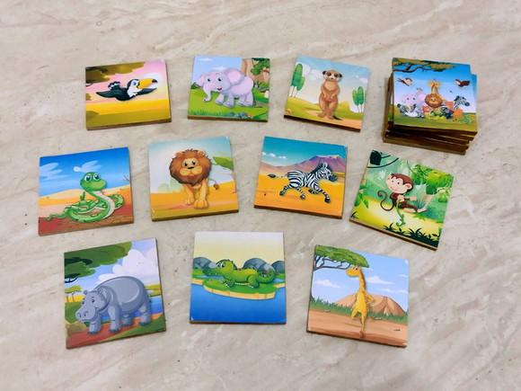 Jogo Da Memoria / Safari / 8 Pares / Caixa Acrílico