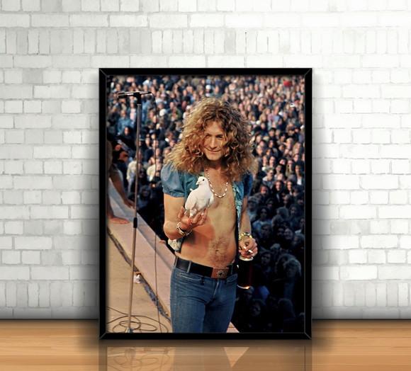 Quadro Robert Plant / Led Zeppelin