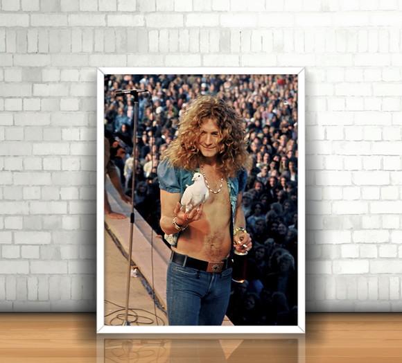 Quadro Robert Plant / Led Zeppelin