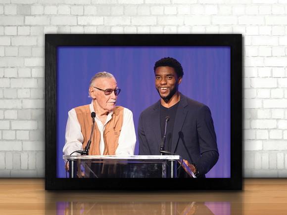 Quadro Stan Lee & Chadwick Boseman