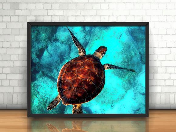 Quadro Tartaruga Marinha