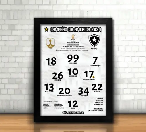 Botafogo Campeão Libertadores 2024 / Quadro / com Vidro