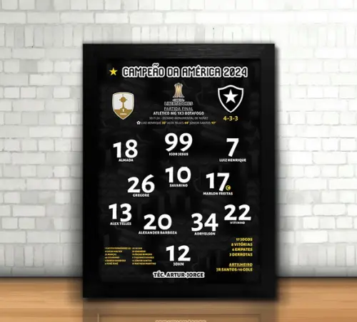 Botafogo Campeão Libertadores 2024 / Quadro / com Vidro