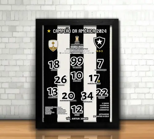 Botafogo Campeão Libertadores 2024 / Quadro / com Vidro