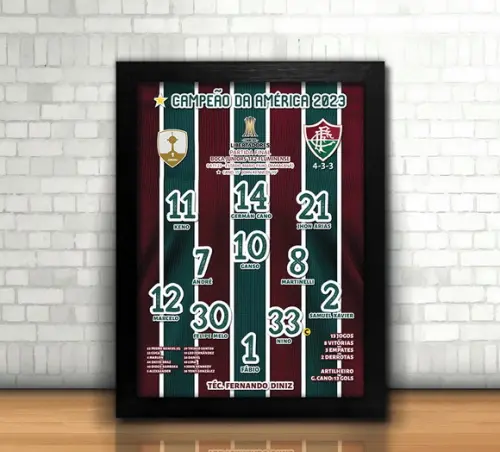 Fluminense Campeão Libertadores 2023 / Quadro / 20x30cm